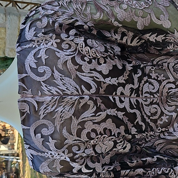 New W Tags JS COLLECTIONS  Shell Pink Lace Maxi Evening Cocktail Dress Size 2 - Picture 11 of 15